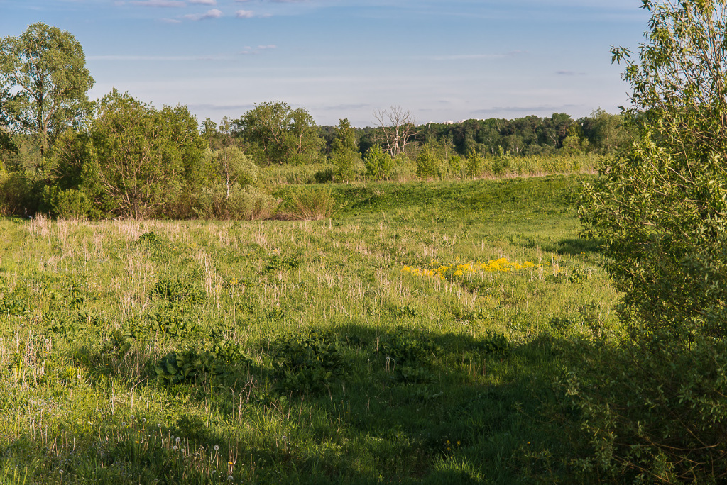 Land plot 24.5 ares in village Nikolino