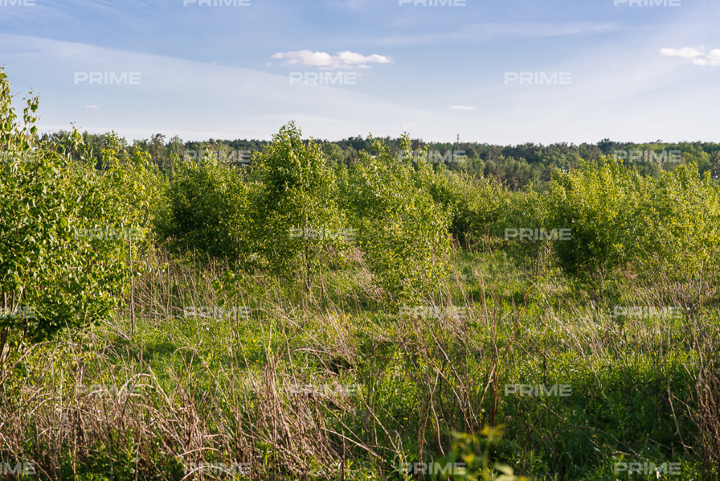 Land plot 25.5 ares in village Lyzlovo Photo 3