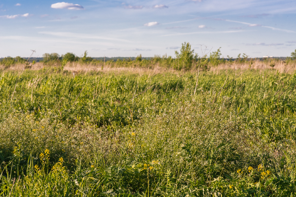 Land plot 21 ares in village Nikolino