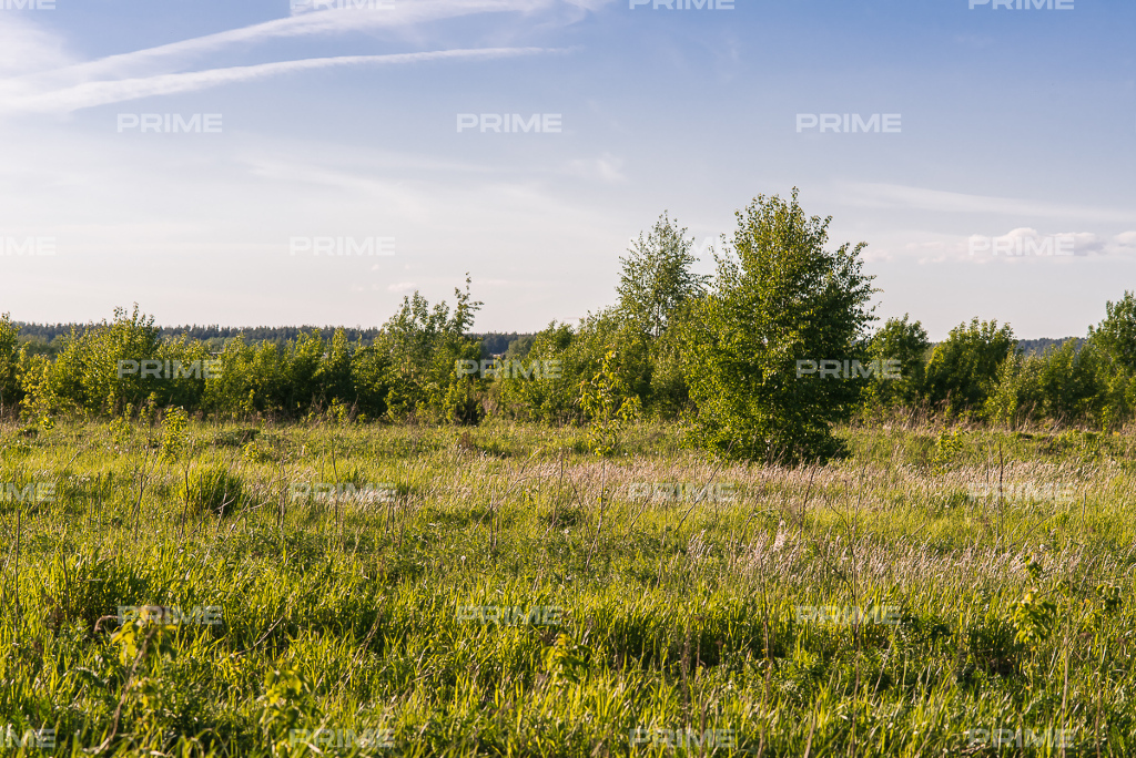 Land plot 13 ares in village Novorizhskij Photo 3