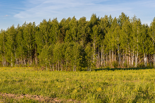 Land plot 126 ares in village Nikolskaja Sloboda