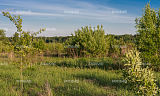 Land plot 254 ares in village Новогорск. Коттеджная застройка Photo 2