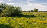 Land plot 254 ares in village Новогорск. Коттеджная застройка Photo 3