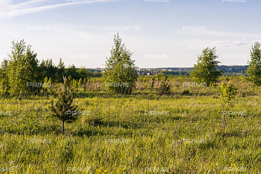 Land plot 27 ares in village ZHukovka Levaja storona Photo 3