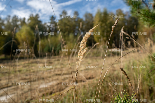 Land plot 8 ares in village Millennium Park