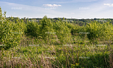 Land plot 25.5 ares in village Lyzlovo Photo 3