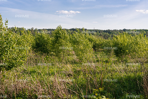 Land plot 15 ares in village Petrovskij