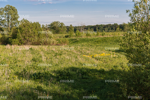 Land plot 1127 ares in village Aleksandrovka. Cottage development