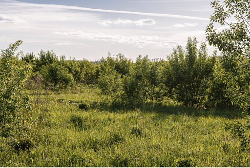 Land plot 11 ares in village Novorizhskij