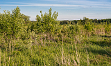 Land plot 54.64 ares in village Darino-Uspenskoe Photo 2