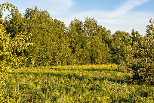 Land plot 16 ares in village Борисково. Коттеджная застройка Photo 3
