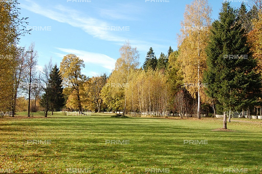 Land plot 44 ares in village Nikologorskoe / Kotton Vej Photo 2