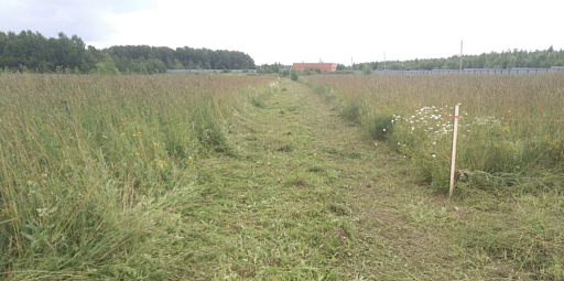 Land plot 1240 ares in village Timoshkino. Cottage development