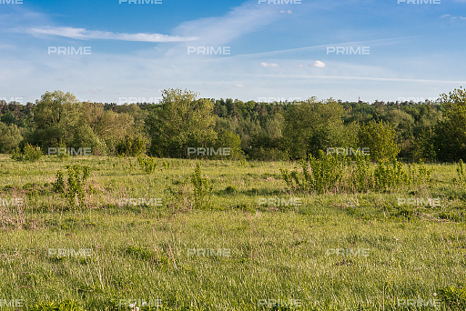 Land plot 39 ares in village Agalarov Estate