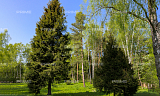 Land plot 110.43 ares in village Рублево. Коттеджная застройка Photo 3