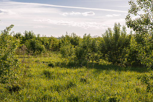 Land plot 55.11 ares in village Darino-Uspenskoe