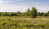Land plot 13 ares in village Novorizhskij Photo 3